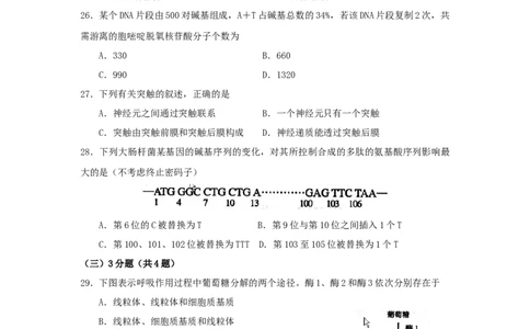 2008年高考生物试卷（上海）（空白卷）_1.高考2025全国各省真题+答案_01.2008-2024全国高考真题（按省份分类）_31.上海_2008-2022&middot;（上海）生物高考真题
