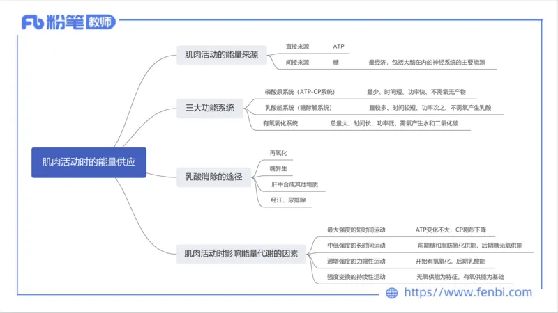 6.13-中学科目三理论精讲-运动生理学2-岳博_4-教培资料-26年最新资料-同步更新_科一科二电子资料合集中小幼（笔记真题知识点汇总等）文件多，按需保存_01西米合集_1理论精讲