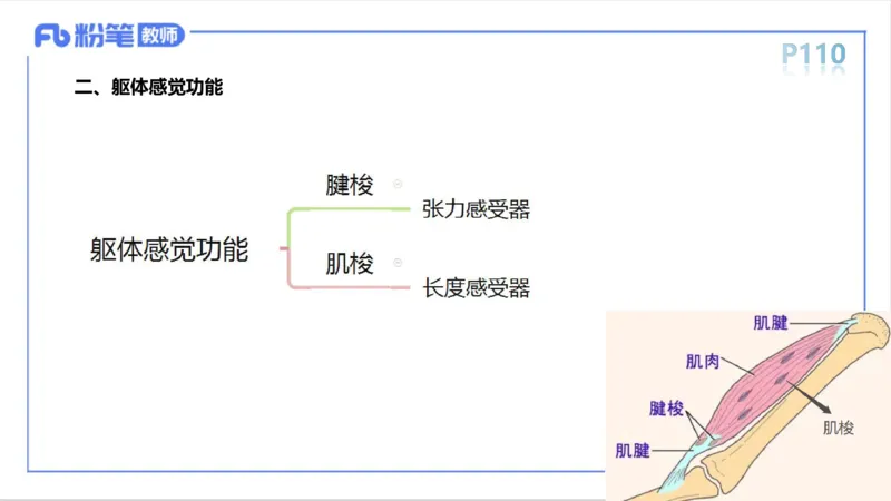 6.13-中学科目三理论精讲-运动生理学2-岳博_4-教培资料-26年最新资料-同步更新_科一科二电子资料合集中小幼（笔记真题知识点汇总等）文件多，按需保存_01西米合集_1理论精讲