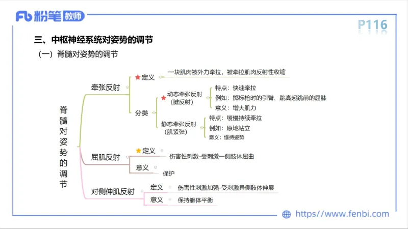6.13-中学科目三理论精讲-运动生理学2-岳博_4-教培资料-26年最新资料-同步更新_科一科二电子资料合集中小幼（笔记真题知识点汇总等）文件多，按需保存_01西米合集_1理论精讲