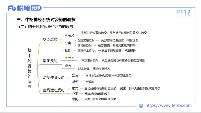 6.13-中学科目三理论精讲-运动生理学2-岳博_4-教培资料-26年最新资料-同步更新_科一科二电子资料合集中小幼（笔记真题知识点汇总等）文件多，按需保存_01西米合集_1理论精讲