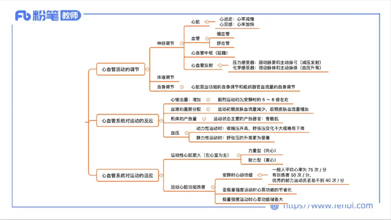 6.13-中学科目三理论精讲-运动生理学2-岳博_4-教培资料-26年最新资料-同步更新_科一科二电子资料合集中小幼（笔记真题知识点汇总等）文件多，按需保存_01西米合集_1理论精讲