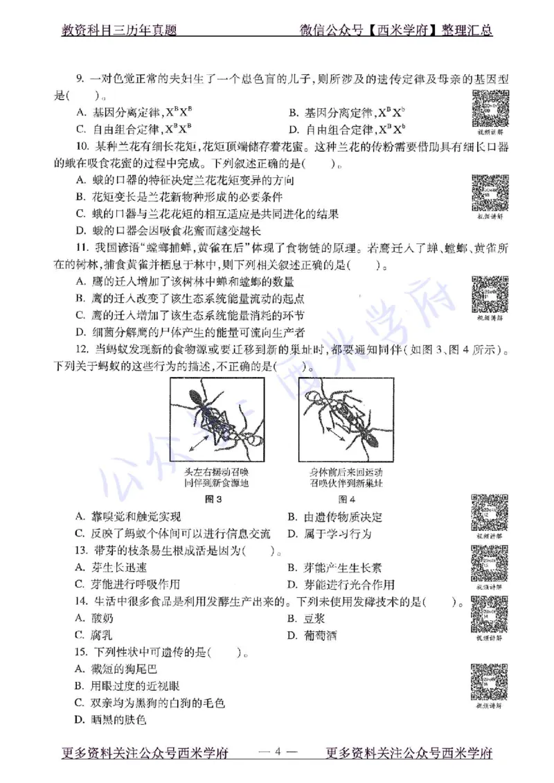 20年下-初中生物-真题及答案解析_4-教培资料-26年最新资料-同步更新_初中高中教资_03科三专项（进去保存报考的学科即可）_01科目三FB网课、三色速记手册、知识点导图等推荐