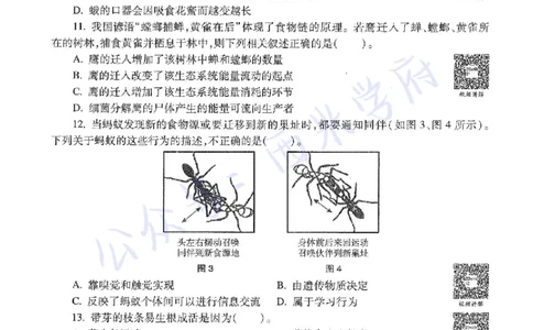 20年下-初中生物-真题及答案解析_4-教培资料-26年最新资料-同步更新_初中高中教资_03科三专项（进去保存报考的学科即可）_01科目三FB网课、三色速记手册、知识点导图等推荐