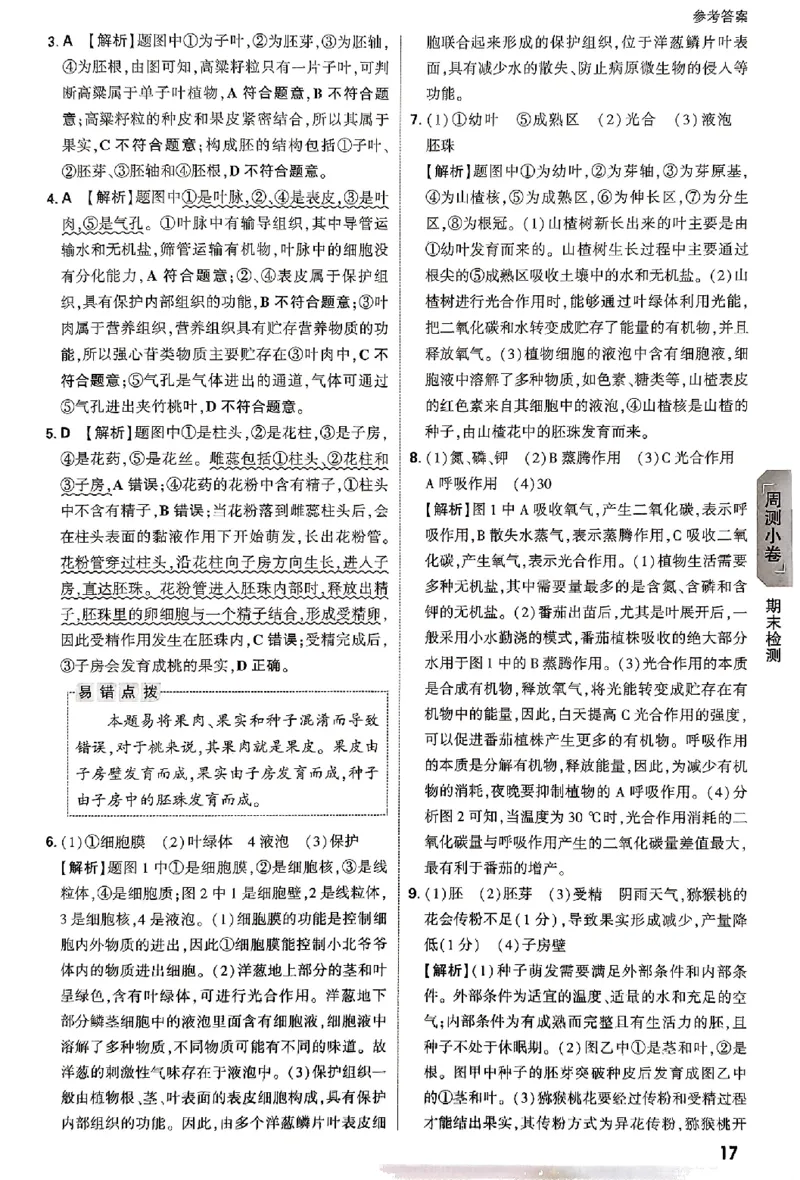 2026《万唯大小卷&bull;生物》7上参考答案(BS)_2026万唯系列预习复习_2026版初中《万唯大小卷》7年级上册（全科多版本）_2026《万唯大小卷&bull;生物》7上(BS)