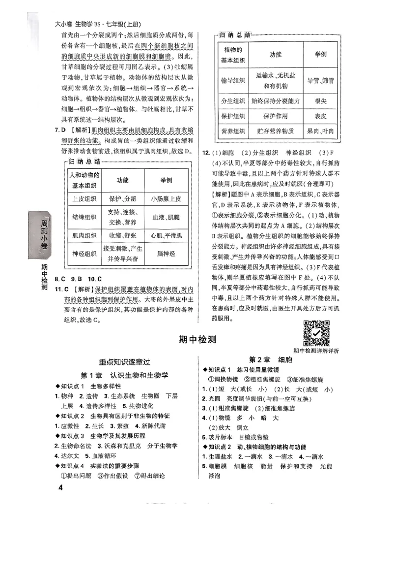2026《万唯大小卷&bull;生物》7上参考答案(BS)_2026万唯系列预习复习_2026版初中《万唯大小卷》7年级上册（全科多版本）_2026《万唯大小卷&bull;生物》7上(BS)