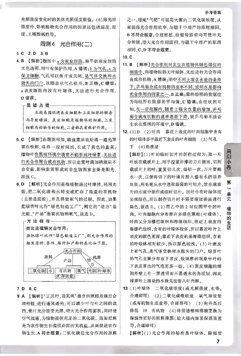 2026《万唯大小卷&bull;生物》7上参考答案(BS)_2026万唯系列预习复习_2026版初中《万唯大小卷》7年级上册（全科多版本）_2026《万唯大小卷&bull;生物》7上(BS)
