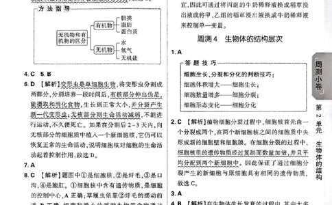 2026《万唯大小卷&bull;生物》7上参考答案(BS)_2026万唯系列预习复习_2026版初中《万唯大小卷》7年级上册（全科多版本）_2026《万唯大小卷&bull;生物》7上(BS)
