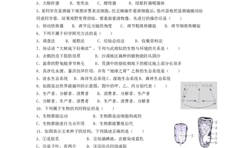 2013广东省中考生物真题及答案_中考真题_8.生物中考真题2015-2024年_地区卷_广东中考生物11-22