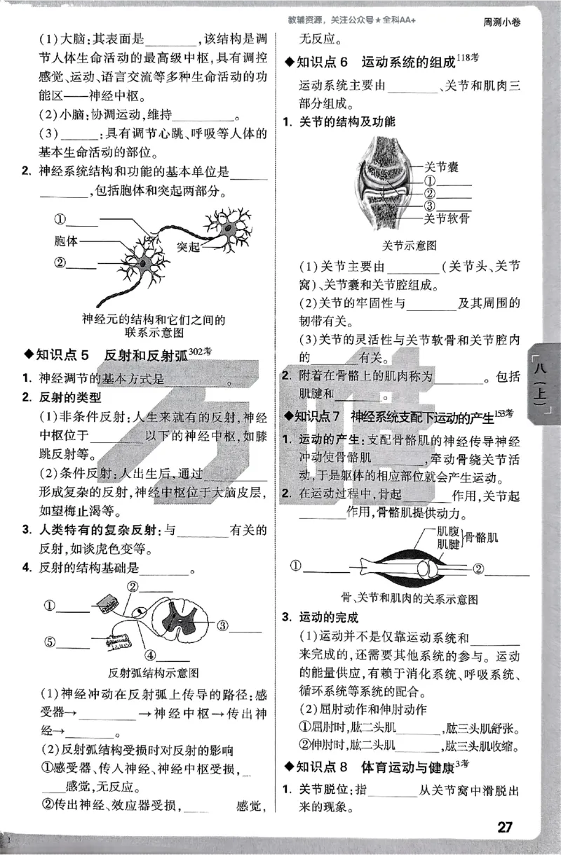 2026《万唯大小卷&bull;生物》8全周测小卷(RJ)_2026万唯系列预习复习_2026版初中《万唯大小卷》8年级上册（全科多版本）_2026《万唯大小卷&bull;生物》8全(RJ)