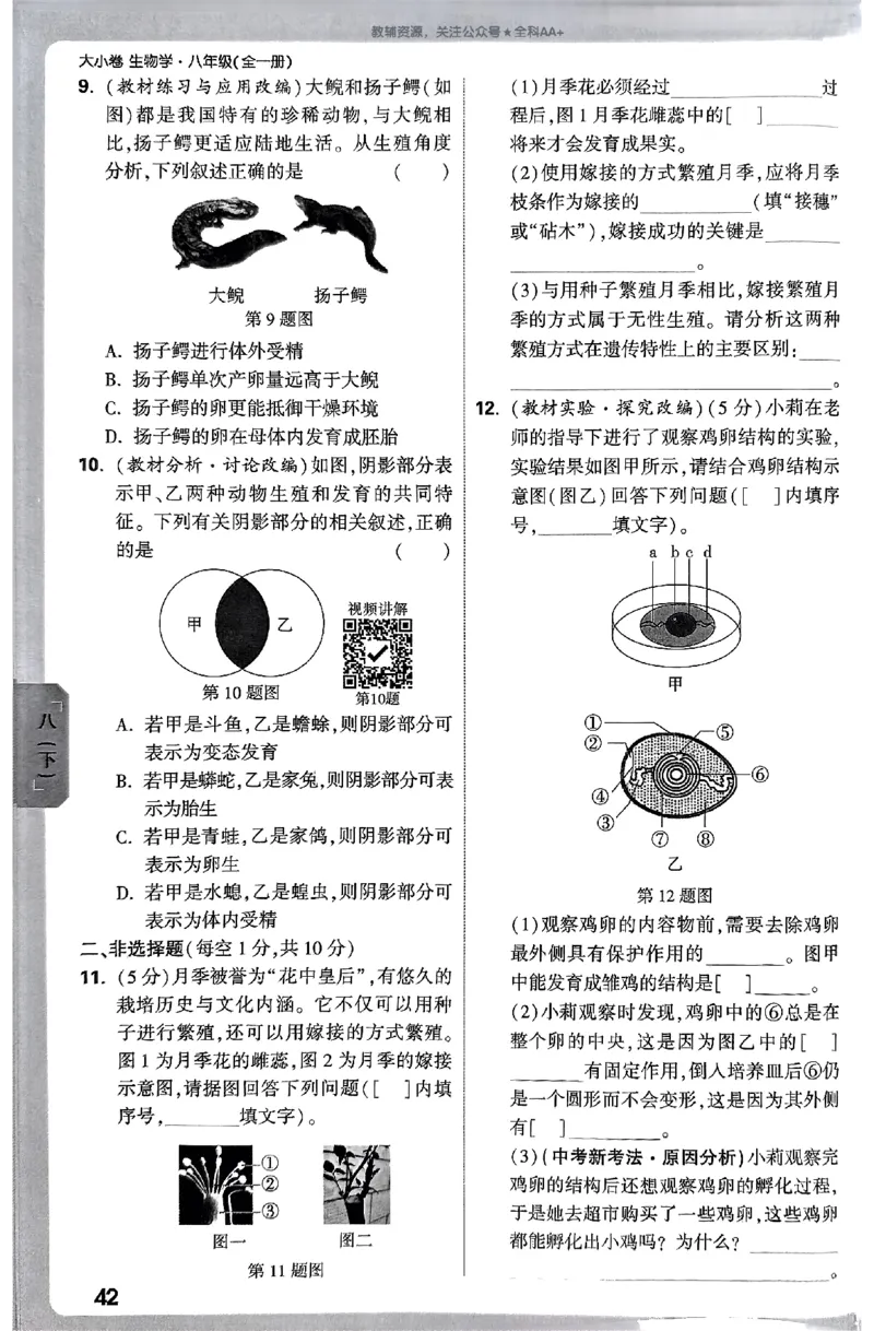 2026《万唯大小卷&bull;生物》8全周测小卷(RJ)_2026万唯系列预习复习_2026版初中《万唯大小卷》8年级上册（全科多版本）_2026《万唯大小卷&bull;生物》8全(RJ)