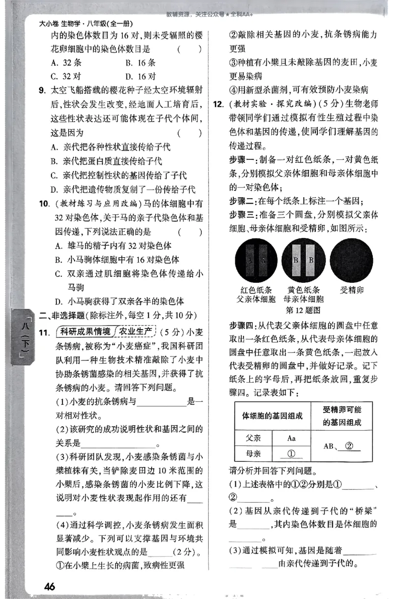 2026《万唯大小卷&bull;生物》8全周测小卷(RJ)_2026万唯系列预习复习_2026版初中《万唯大小卷》8年级上册（全科多版本）_2026《万唯大小卷&bull;生物》8全(RJ)