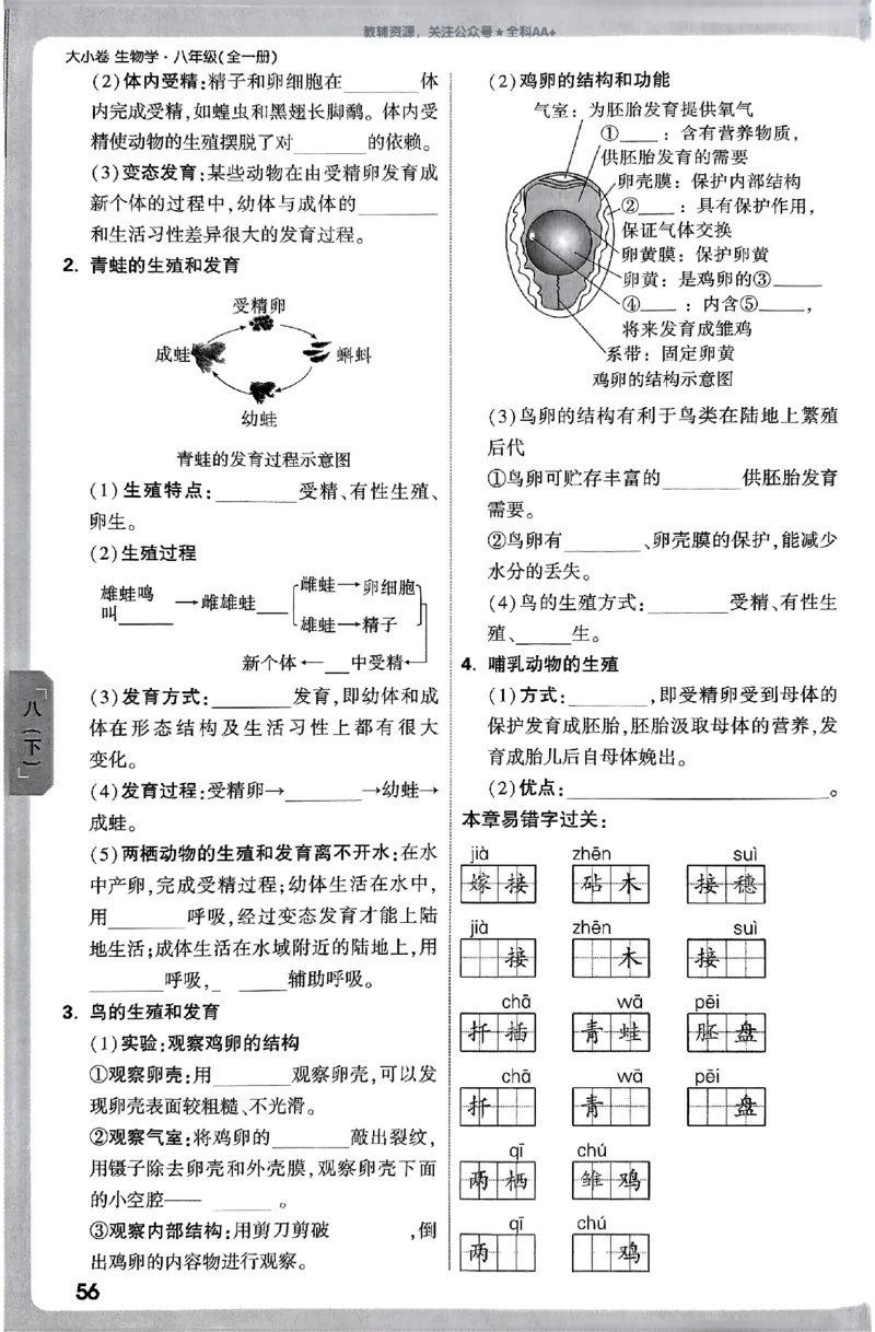 2026《万唯大小卷&bull;生物》8全周测小卷(RJ)_2026万唯系列预习复习_2026版初中《万唯大小卷》8年级上册（全科多版本）_2026《万唯大小卷&bull;生物》8全(RJ)