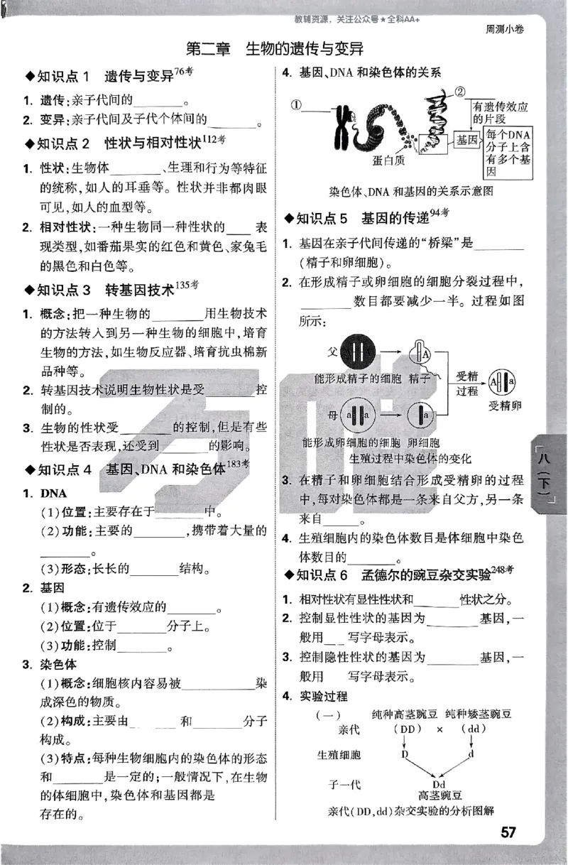2026《万唯大小卷&bull;生物》8全周测小卷(RJ)_2026万唯系列预习复习_2026版初中《万唯大小卷》8年级上册（全科多版本）_2026《万唯大小卷&bull;生物》8全(RJ)