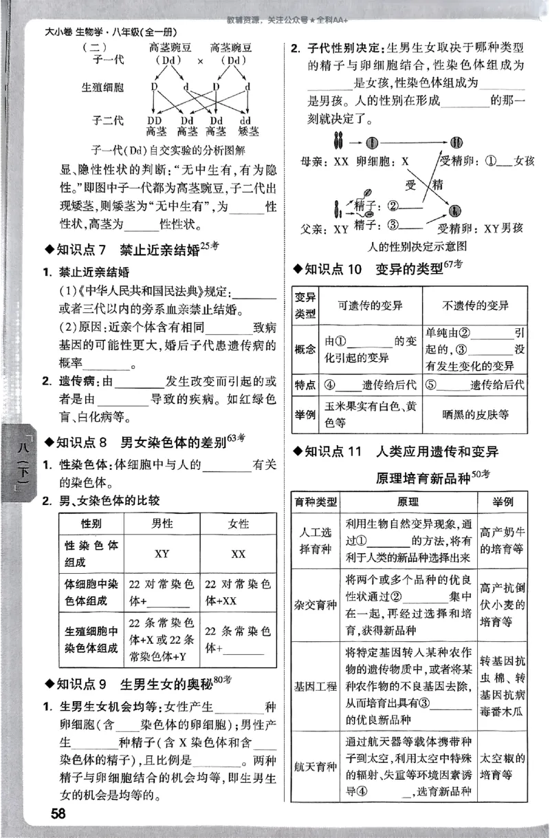 2026《万唯大小卷&bull;生物》8全周测小卷(RJ)_2026万唯系列预习复习_2026版初中《万唯大小卷》8年级上册（全科多版本）_2026《万唯大小卷&bull;生物》8全(RJ)
