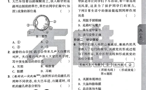 2026《万唯大小卷&bull;生物》8全周测小卷(RJ)_2026万唯系列预习复习_2026版初中《万唯大小卷》8年级上册（全科多版本）_2026《万唯大小卷&bull;生物》8全(RJ)