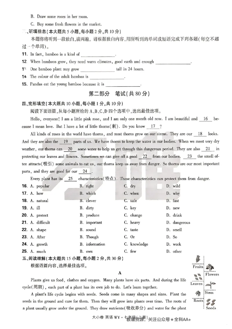 2026《万唯大小卷&bull;英语》7上大卷(WY)_2026万唯系列预习复习_2026版初中《万唯大小卷》7年级上册（全科多版本）_2026《万唯大小卷&bull;英语》7上(WY)