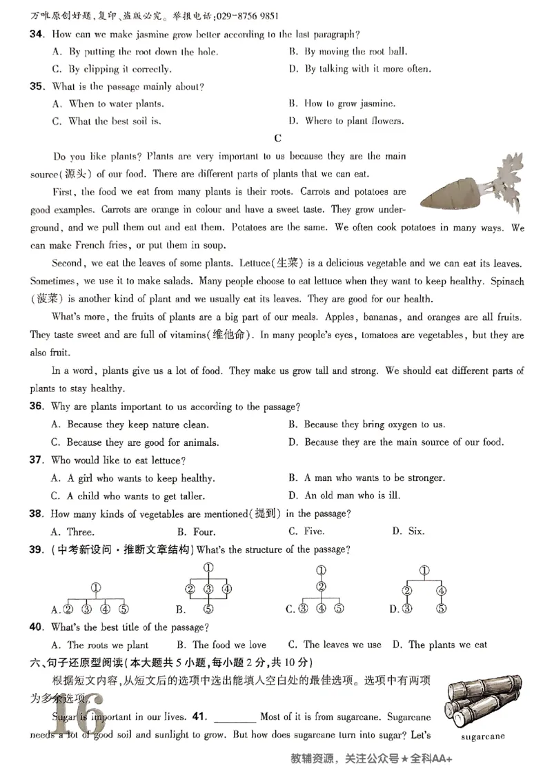 2026《万唯大小卷&bull;英语》7上大卷(WY)_2026万唯系列预习复习_2026版初中《万唯大小卷》7年级上册（全科多版本）_2026《万唯大小卷&bull;英语》7上(WY)