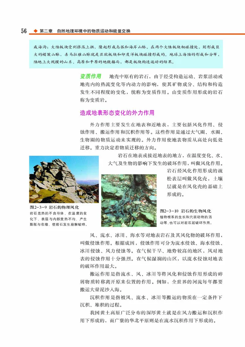 中图版高中地理必修1_4-教培资料-26年最新资料-同步更新_初中高中教资_03科三专项（进去保存报考的学科即可）_02科三专项（笔记真题思维导图教学设计版本二）