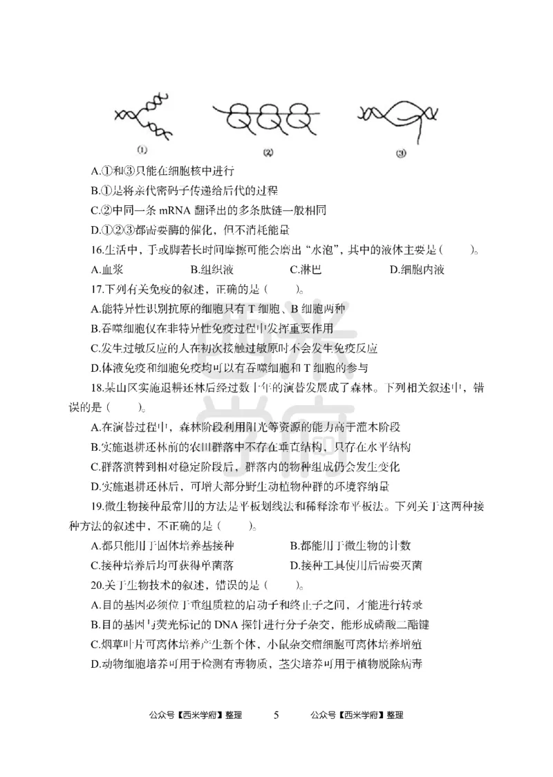 24上-高中笔试科目三《学科知识与教学能力》模拟卷-高中生物-模拟预测卷_4-教培资料-26年最新资料-同步更新_初中高中教资_03科三专项（进去保存报考的学科即可）_高中