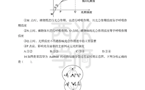24上-高中笔试科目三《学科知识与教学能力》模拟卷-高中生物-模拟预测卷_4-教培资料-26年最新资料-同步更新_初中高中教资_03科三专项（进去保存报考的学科即可）_高中