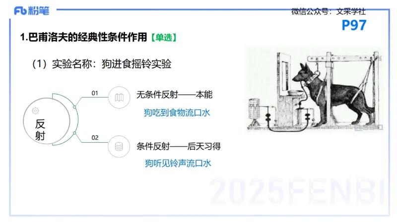 25下教育教学知识与能力理论精讲10-开海玲_4-教培资料-26年最新资料-同步更新_小学教资_012025下FB小学系统班_小学25下-教育知识与能力_1.理论精讲_讲义