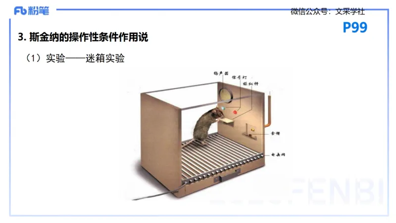 25下教育教学知识与能力理论精讲10-开海玲_4-教培资料-26年最新资料-同步更新_小学教资_012025下FB小学系统班_小学25下-教育知识与能力_1.理论精讲_讲义