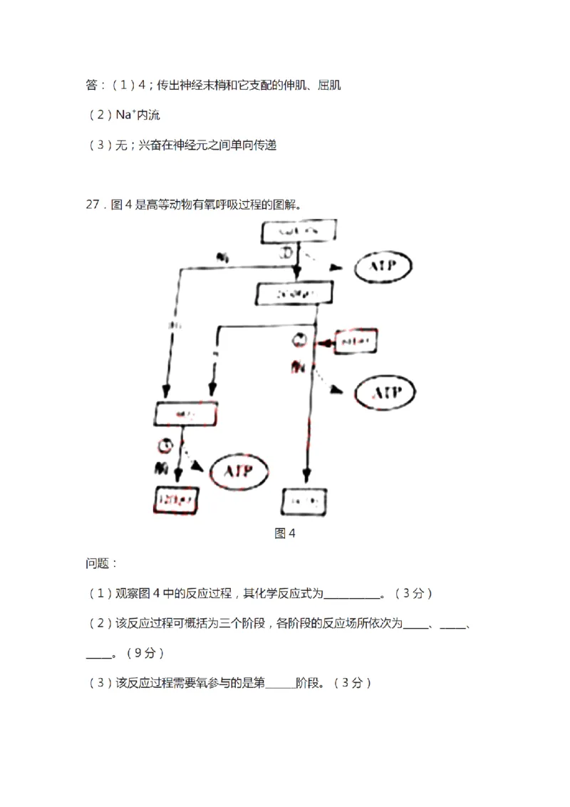 21年上-初中《生物》真题及答案解析_4-教培资料-26年最新资料-同步更新_初中高中教资_03科三专项（进去保存报考的学科即可）_初中_初中生物-通关资料包_2.真题历年真题