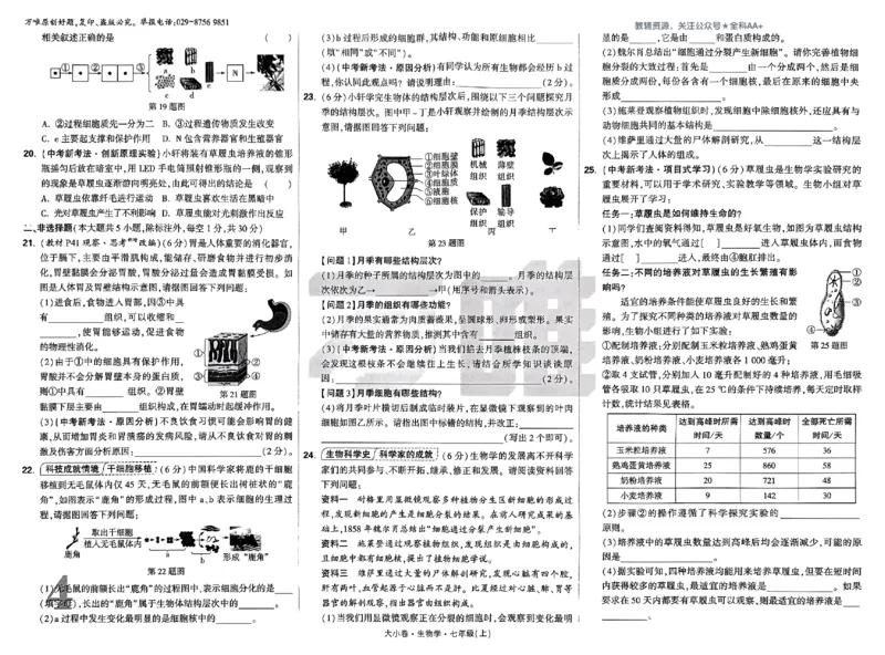 2026《万唯大小卷&bull;生物》7上大卷(RJ)_2026万唯系列预习复习_2026版初中《万唯大小卷》7年级上册（全科多版本）_2026《万唯大小卷&bull;生物》7上(RJ)