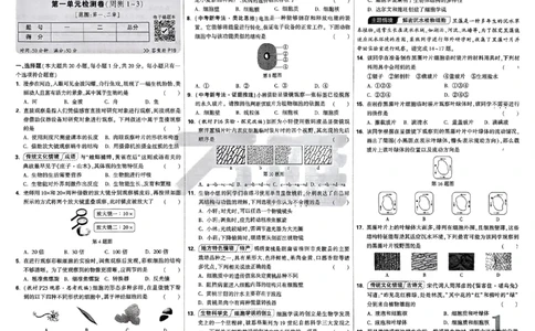 2026《万唯大小卷&bull;生物》7上大卷(RJ)_2026万唯系列预习复习_2026版初中《万唯大小卷》7年级上册（全科多版本）_2026《万唯大小卷&bull;生物》7上(RJ)