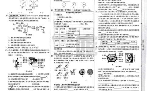 2026《万唯大小卷&bull;生物》7上大卷(RJ)_2026万唯系列预习复习_2026版初中《万唯大小卷》7年级上册（全科多版本）_2026《万唯大小卷&bull;生物》7上(RJ)