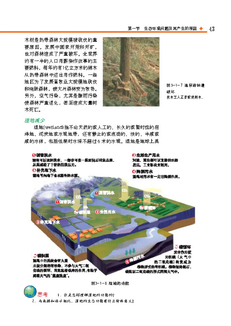 中图版高中地理选修6_4-教培资料-26年最新资料-同步更新_初中高中教资_03科三专项（进去保存报考的学科即可）_02科三专项（笔记真题思维导图教学设计版本二）