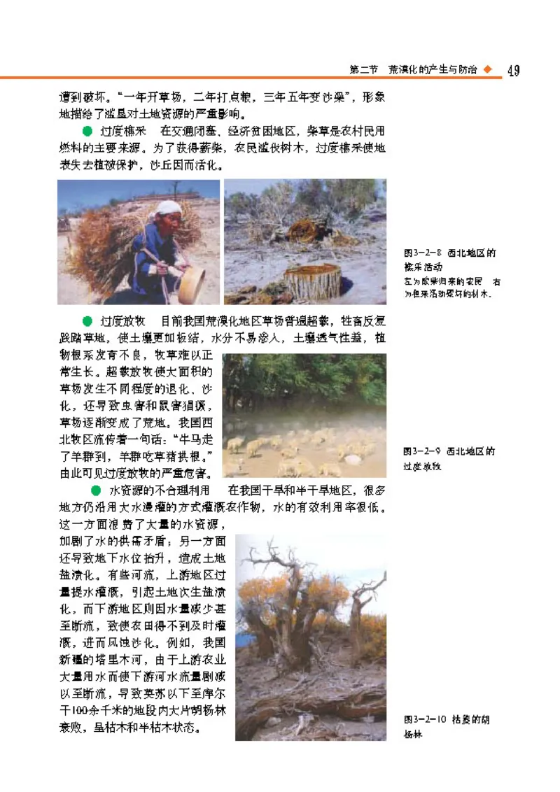 中图版高中地理选修6_4-教培资料-26年最新资料-同步更新_初中高中教资_03科三专项（进去保存报考的学科即可）_02科三专项（笔记真题思维导图教学设计版本二）