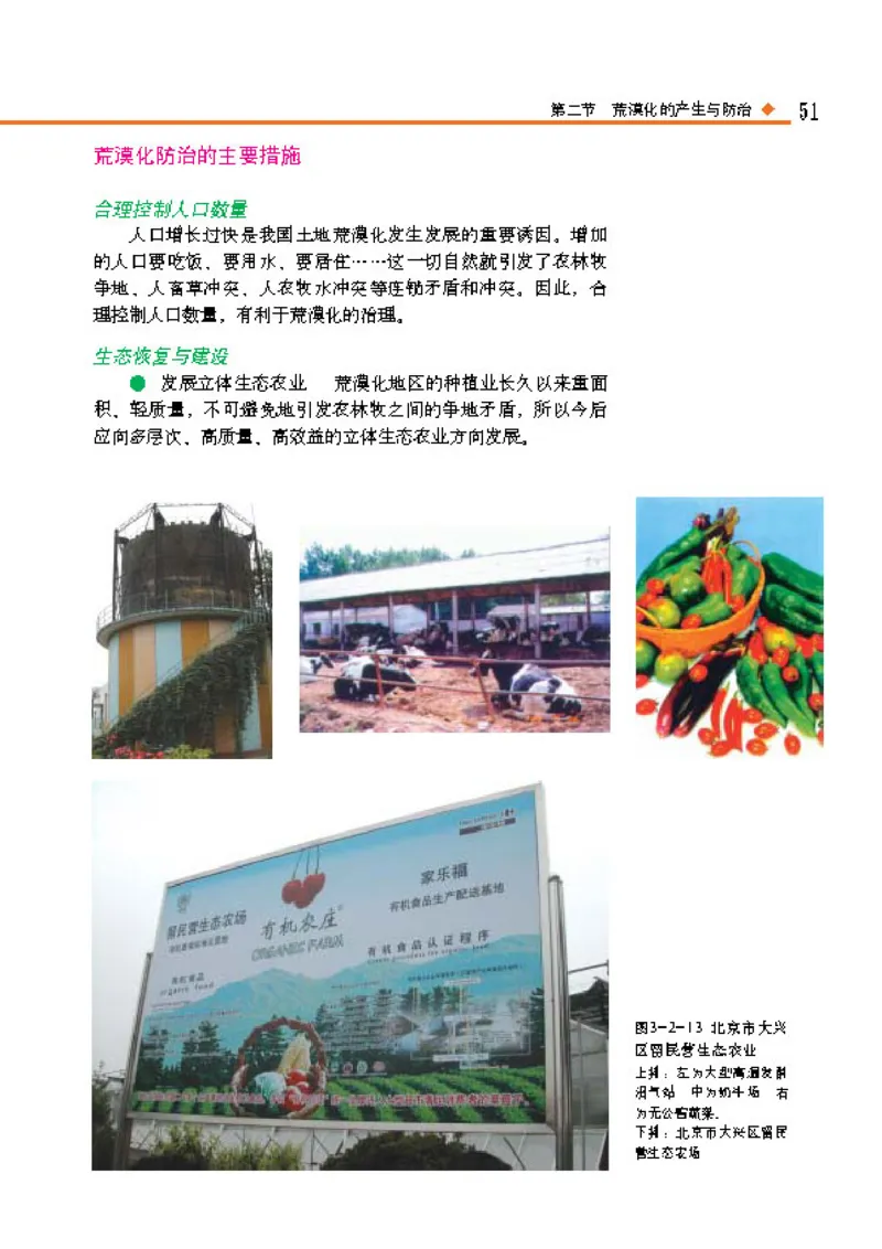 中图版高中地理选修6_4-教培资料-26年最新资料-同步更新_初中高中教资_03科三专项（进去保存报考的学科即可）_02科三专项（笔记真题思维导图教学设计版本二）