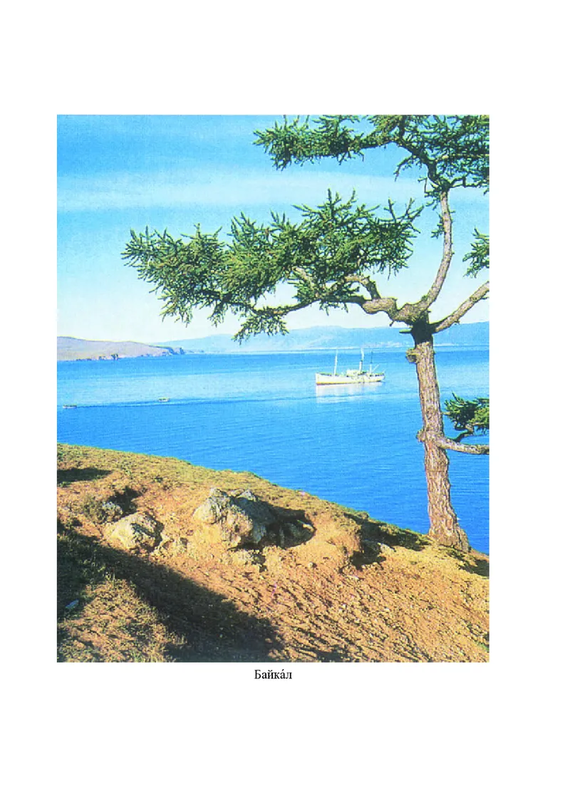 人教版8年级俄语全一册高清教材_4-教培资料-26年最新资料-同步更新_初中高中教资_03科三专项（进去保存报考的学科即可）_02科三专项（笔记真题思维导图教学设计版本二）