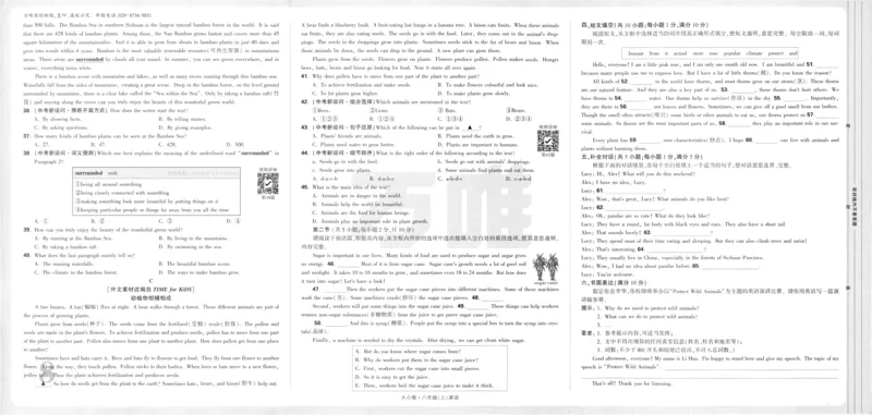 2025《大小卷&bull;英语周测大卷》8上(RJ)_2026万唯系列预习复习_2026版初中《万唯大小卷》8年级上册（全科多版本）_2026版初中《万唯大小卷》8年级上册（英语）（人教）