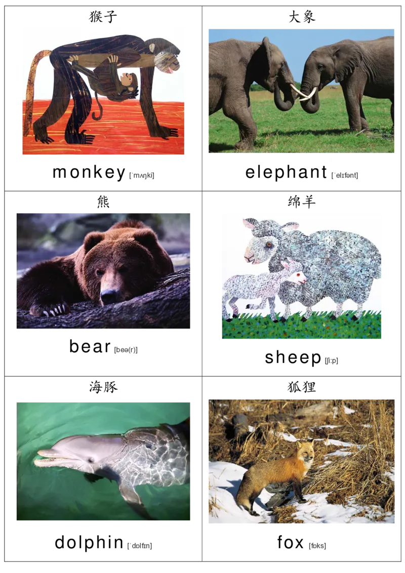 廖彩杏书单单词卡片_初中英语语法_最全初中英语语法习题_No.36单词配图卡