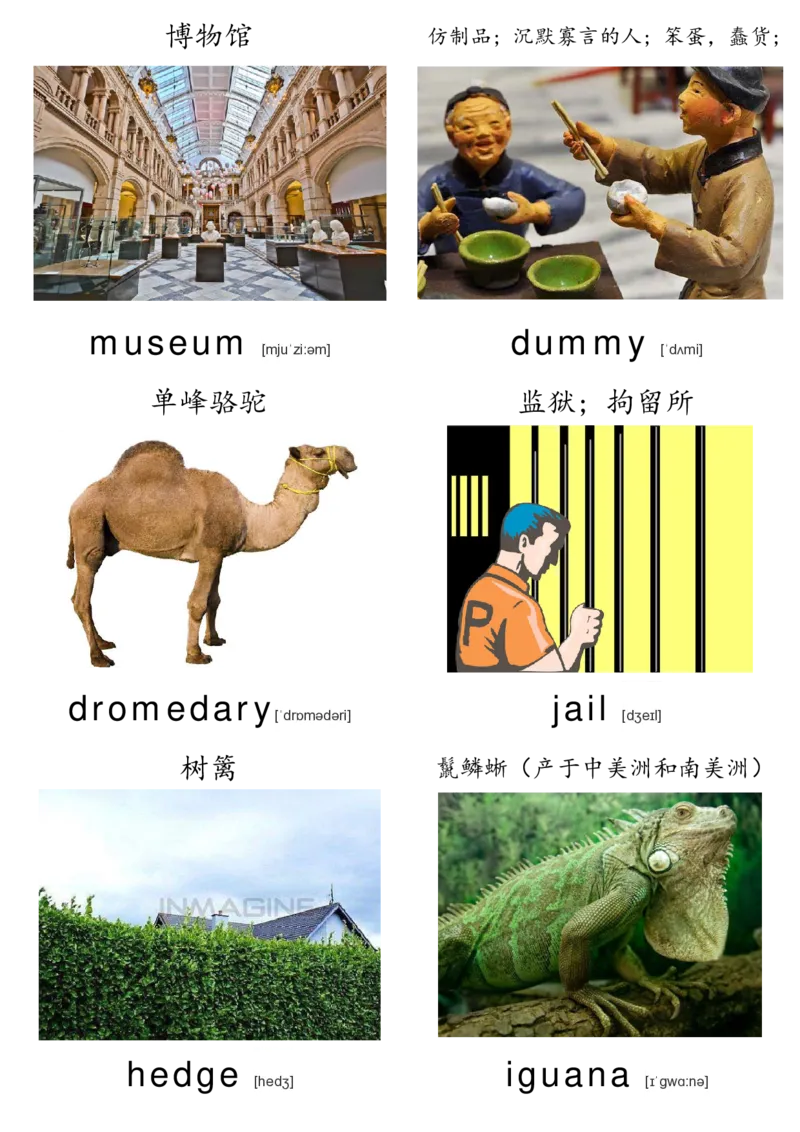 廖彩杏书单单词卡片_初中英语语法_最全初中英语语法习题_No.36单词配图卡