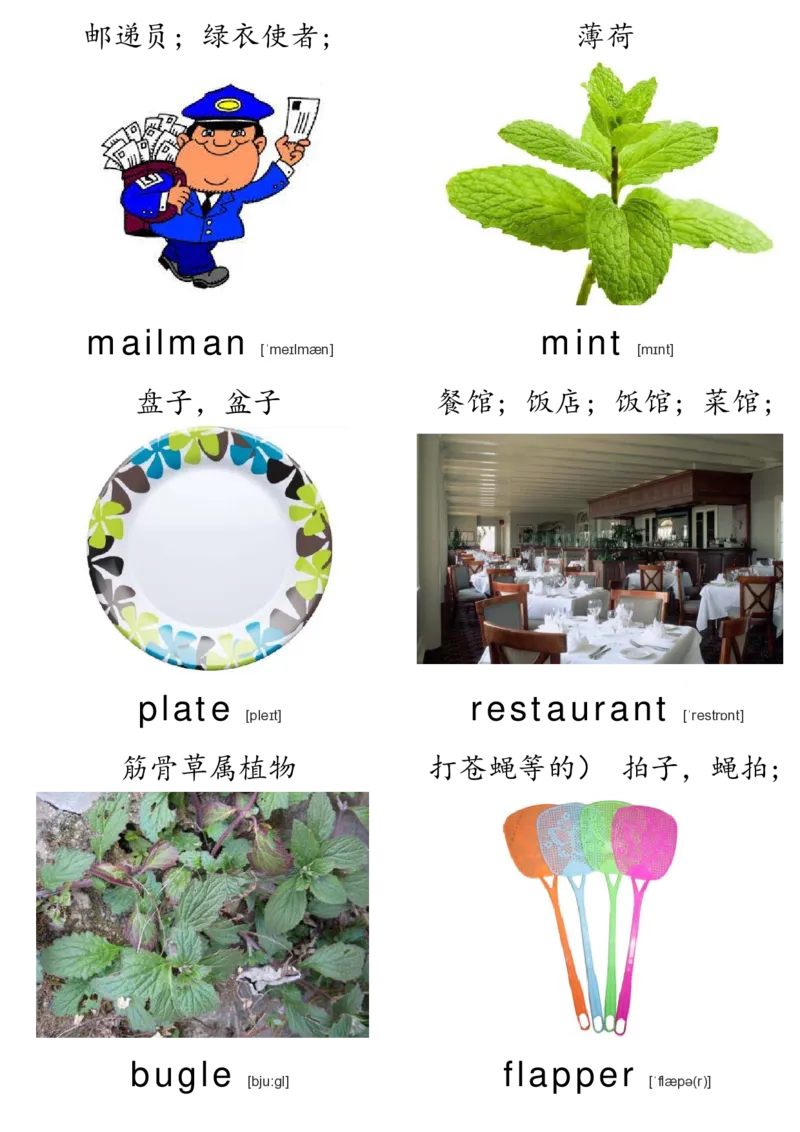 廖彩杏书单单词卡片_初中英语语法_最全初中英语语法习题_No.36单词配图卡