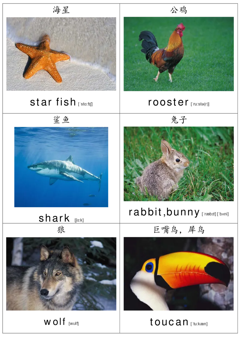 廖彩杏书单单词卡片_初中英语语法_最全初中英语语法习题_No.36单词配图卡