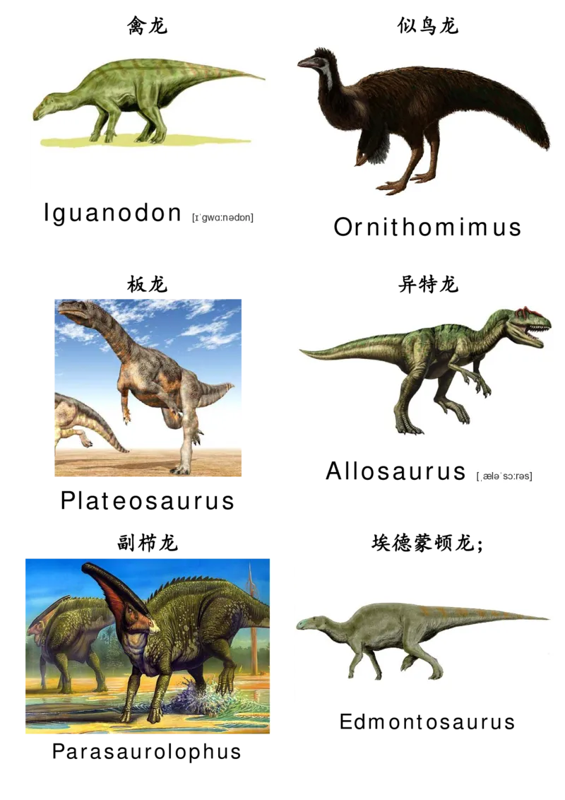 廖彩杏书单单词卡片_初中英语语法_最全初中英语语法习题_No.36单词配图卡