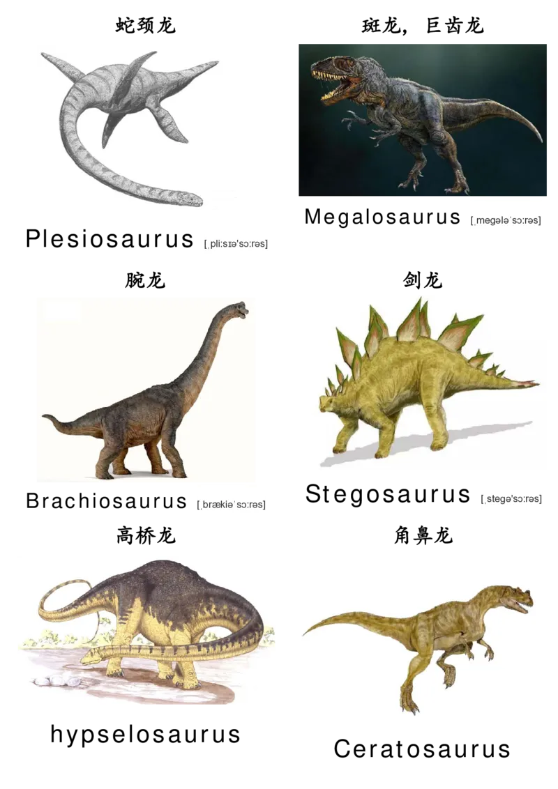 廖彩杏书单单词卡片_初中英语语法_最全初中英语语法习题_No.36单词配图卡