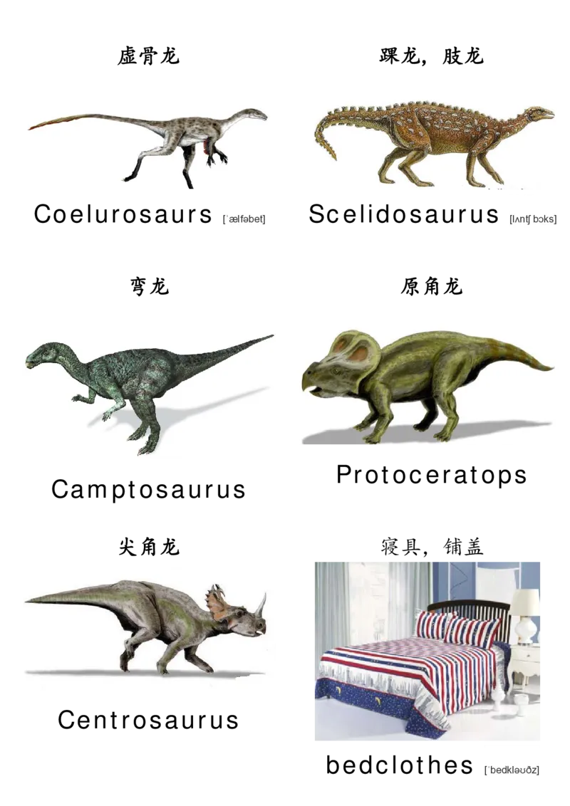 廖彩杏书单单词卡片_初中英语语法_最全初中英语语法习题_No.36单词配图卡