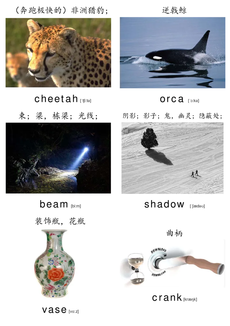 廖彩杏书单单词卡片_初中英语语法_最全初中英语语法习题_No.36单词配图卡