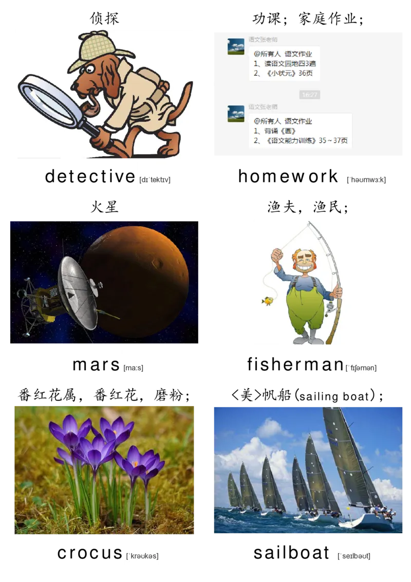 廖彩杏书单单词卡片_初中英语语法_最全初中英语语法习题_No.36单词配图卡