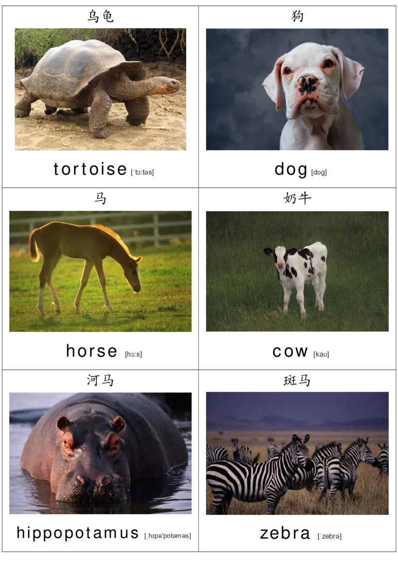 廖彩杏书单单词卡片_初中英语语法_最全初中英语语法习题_No.36单词配图卡