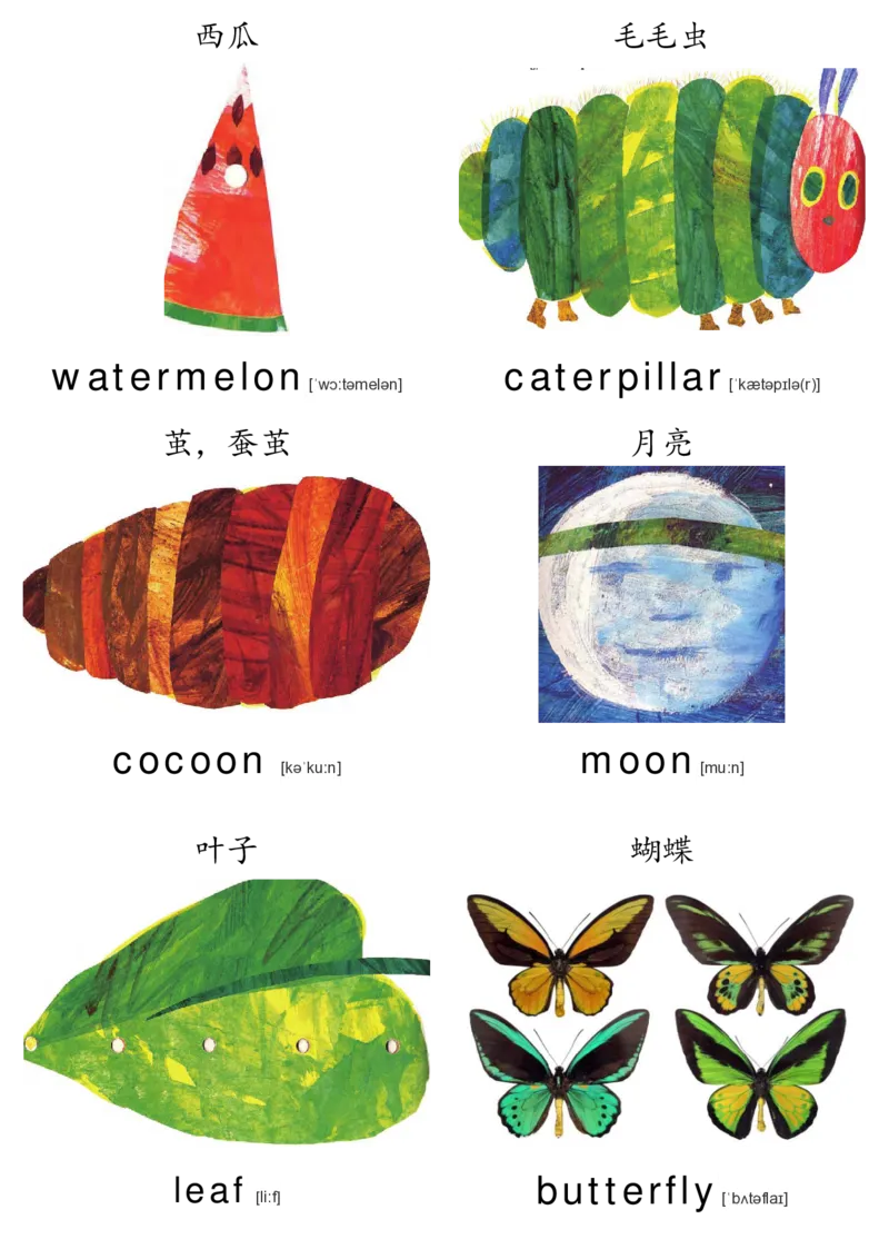 廖彩杏书单单词卡片_初中英语语法_最全初中英语语法习题_No.36单词配图卡