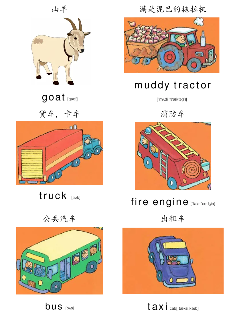 廖彩杏书单单词卡片_初中英语语法_最全初中英语语法习题_No.36单词配图卡