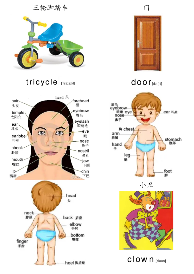 廖彩杏书单单词卡片_初中英语语法_最全初中英语语法习题_No.36单词配图卡