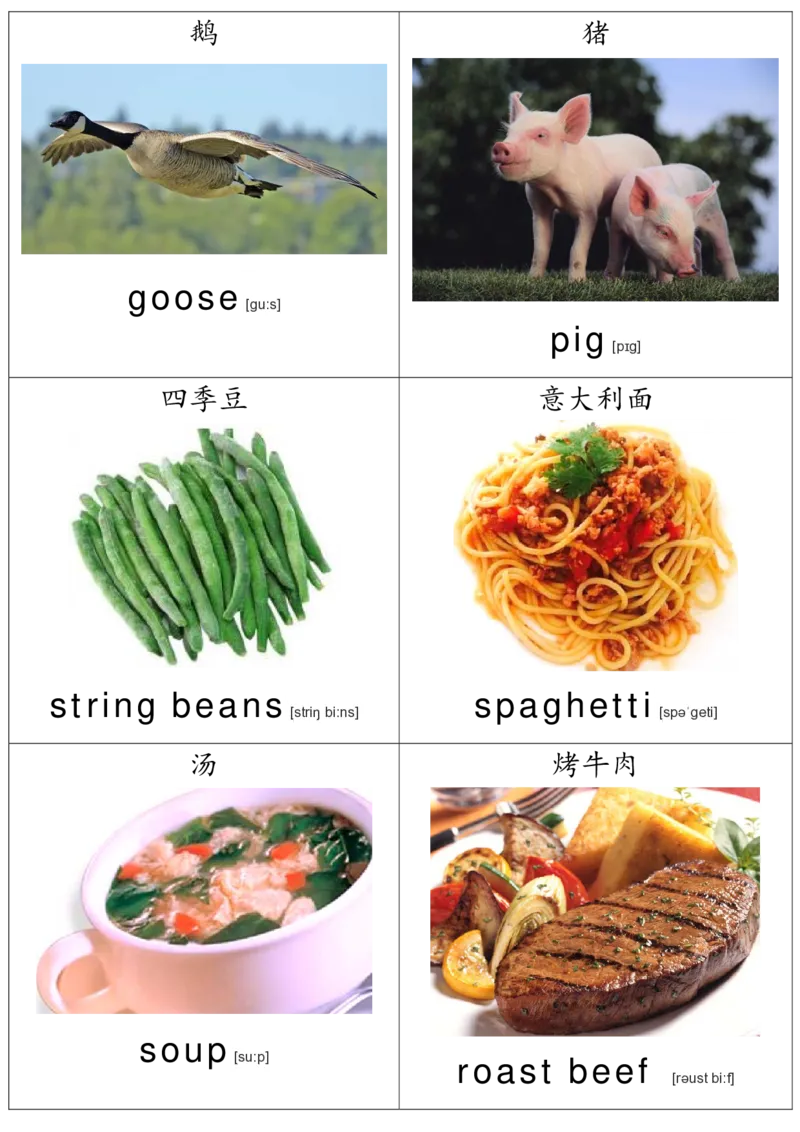 廖彩杏书单单词卡片_初中英语语法_最全初中英语语法习题_No.36单词配图卡